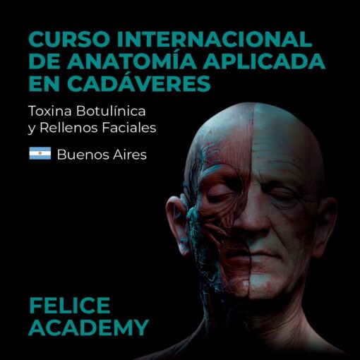 Cadaver Lab - Dr. Fernando Felice - Facultad de Medicina, UBA